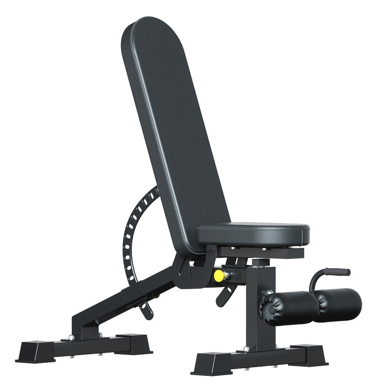 Adjustable Dumbbells - Panca Regolabile per Allenamento con Manubri,